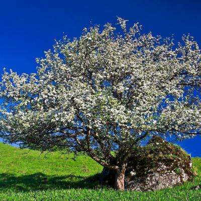 ob体育最新官网