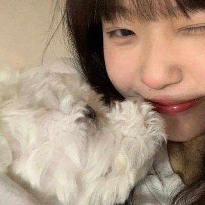 乐鱼app官方下载入口